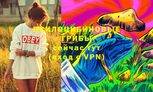 mdpv Лабытнанги