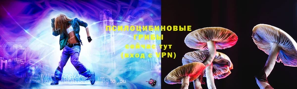 mdpv Лабытнанги