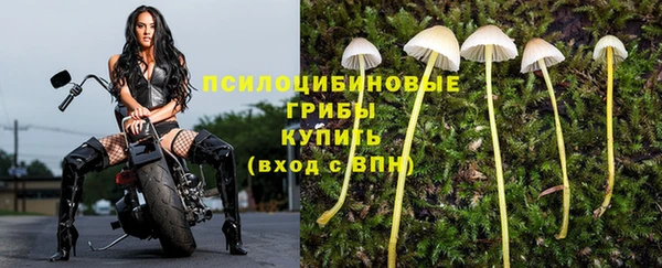 героин Лагань