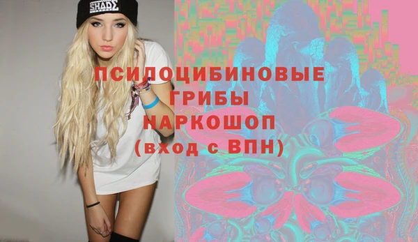 героин Лагань