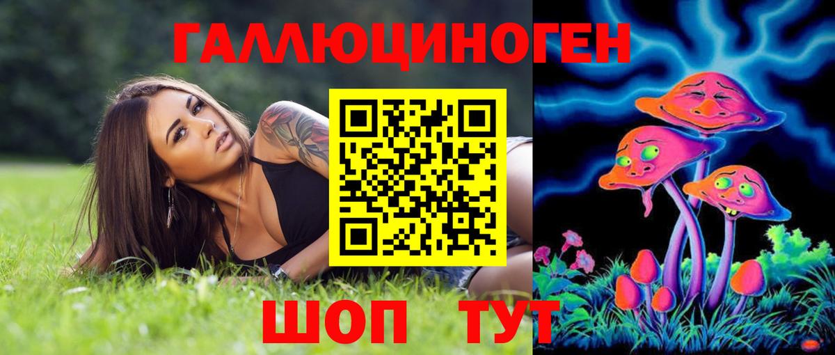 Псилоцибиновые грибы GOLDEN TEACHER  Вход с VPN  Чистополь 