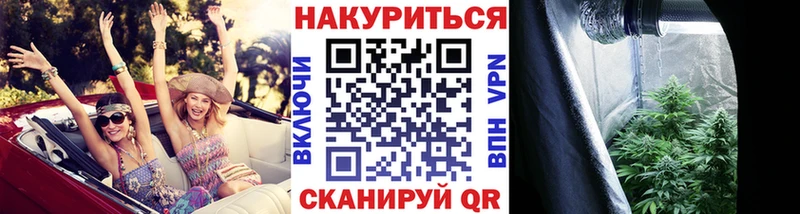 цена наркотик  Чистополь  Шишки марихуана планчик 